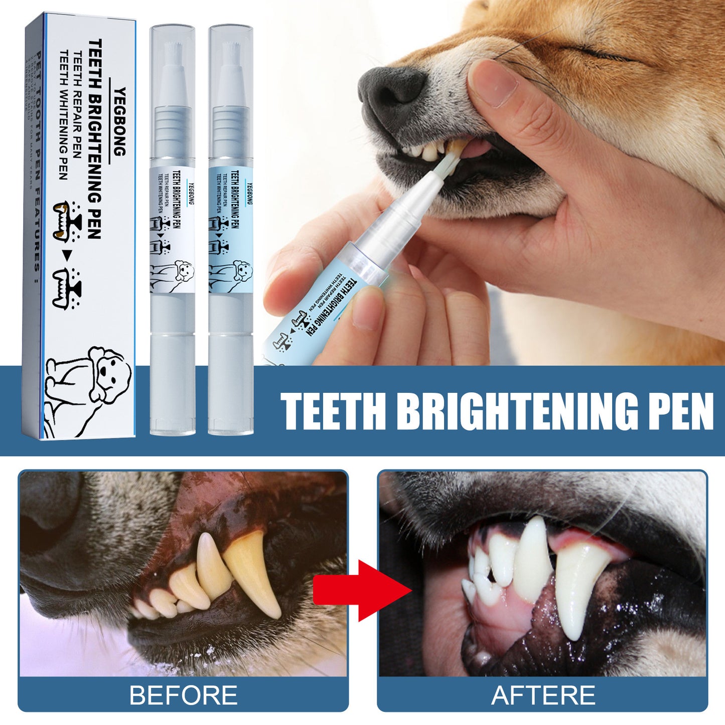 お口ケアに革命!Yegbongペット用歯石除去ペン 🦷